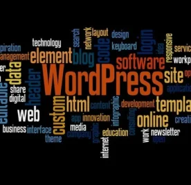 wordpress-website-designing-services-500×500 wordpress-website-designing-services-500x500